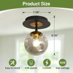 1-Light Mini Glass Globe Ceiling Light,Modern Semi Flush Mount Ceiling Light Fixture,Black Ceiling Light for Hallway Aisle Porch Stairway Closet.